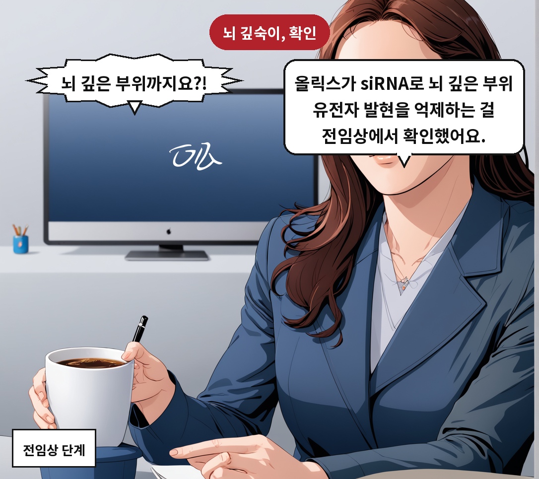 B: 올릭스가 siRNA로 뇌 깊은 부위 유전자 발현을 억제하는 걸 전임상에서 확인했어요. A: 뇌 깊은 부위까지요?!
