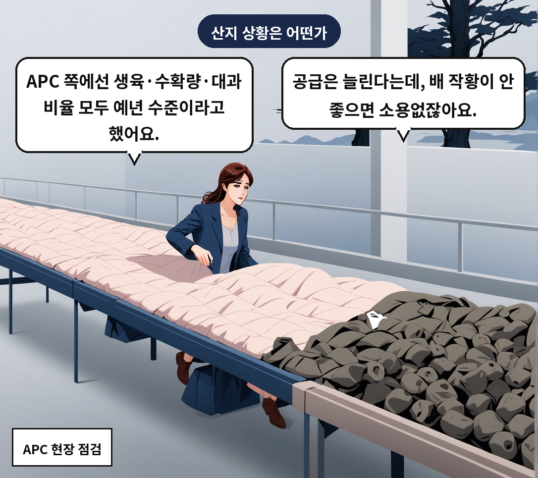 A: 공급은 늘린다는데, 배 작황이 안 좋으면 소용없잖아요. B: APC 쪽에선 생육·수확량·대과 비율 모두 예년 수준이라고 했어요.