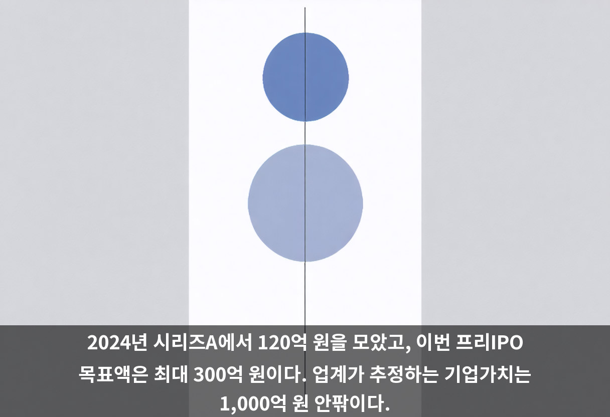 2024년 시리즈A에서 120억 원을 모았고, 이번 프리IPO 목표액은 최대 300억 원이다. 업계가 추정하는 기업가치는 1,000억 원 안팎이다.