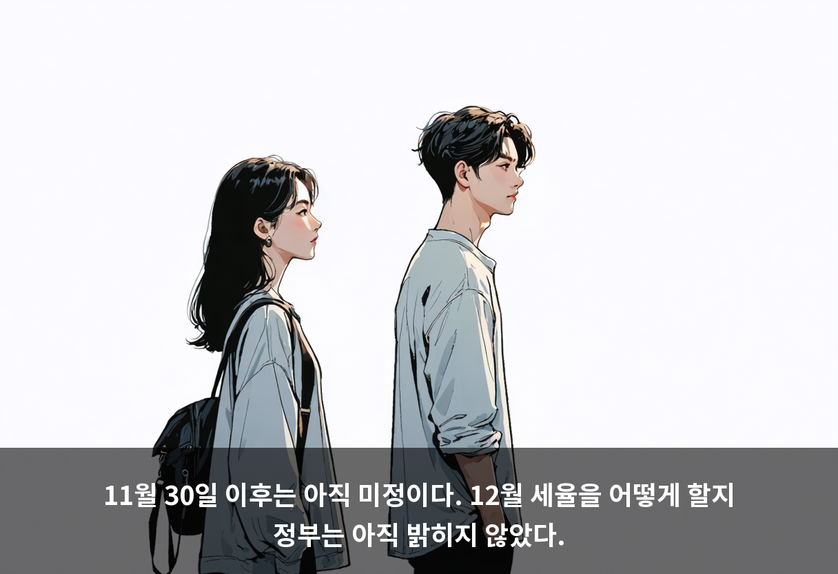 11월 30일 이후는 아직 미정이다. 12월 세율을 어떻게 할지 정부는 아직 밝히지 않았다.