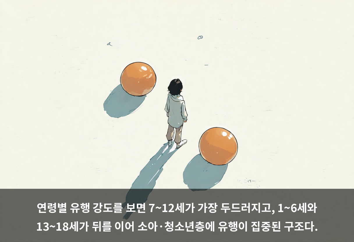 연령별 유행 강도를 보면 7~12세가 가장 두드러지고, 1~6세와 13~18세가 뒤를 이어 소아·청소년층에 유행이 집중된 구조다.