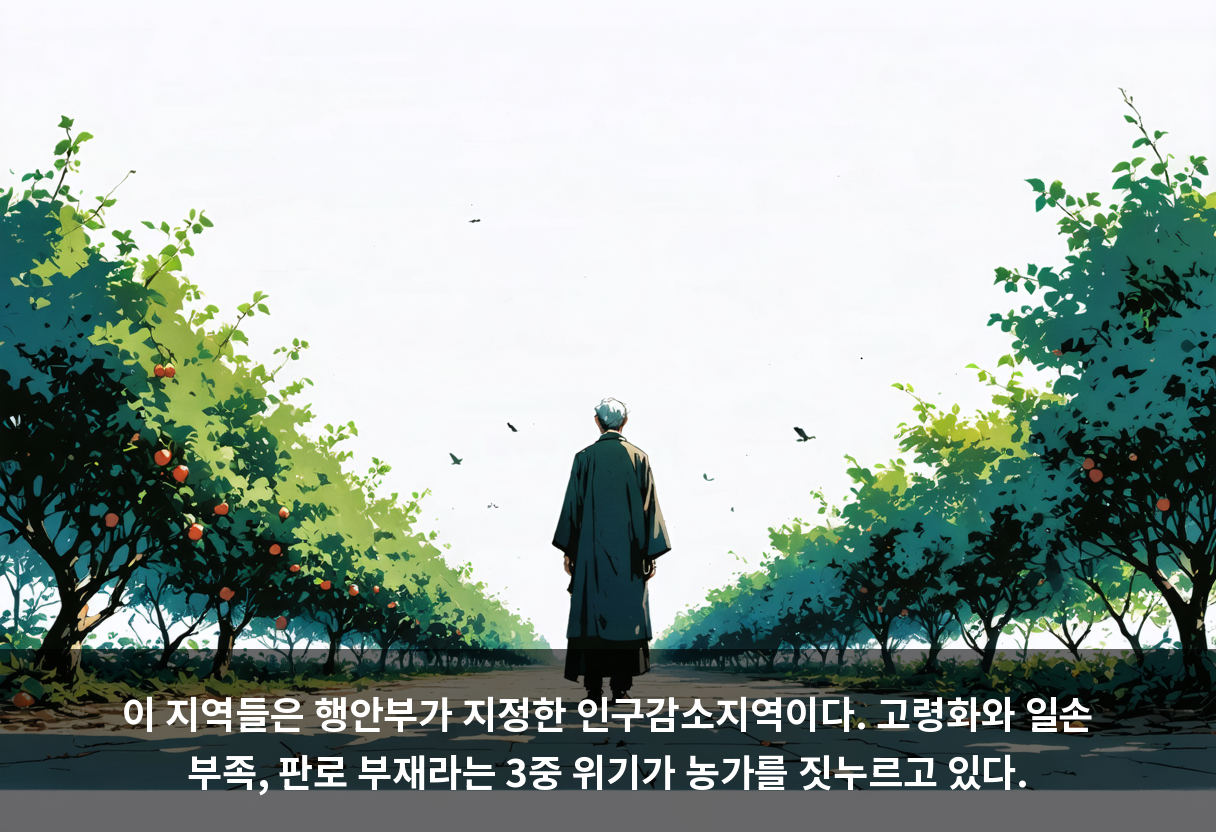 이 지역들은 행안부가 지정한 인구감소지역이다. 고령화와 일손 부족, 판로 부재라는 3중 위기가 농가를 짓누르고 있다.