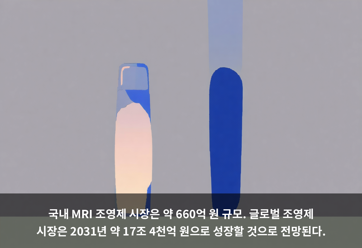 국내 MRI 조영제 시장은 약 660억 원 규모. 글로벌 조영제 시장은 2031년 약 17조 4천억 원으로 성장할 것으로 전망된다.