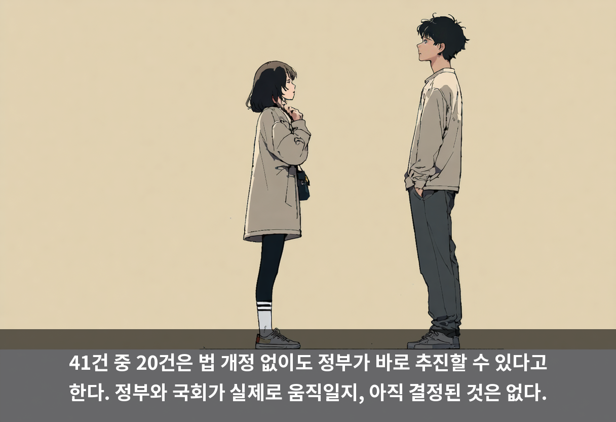 41건 중 20건은 법 개정 없이도 정부가 바로 추진할 수 있다고 한다. 정부와 국회가 실제로 움직일지, 아직 결정된 것은 없다.