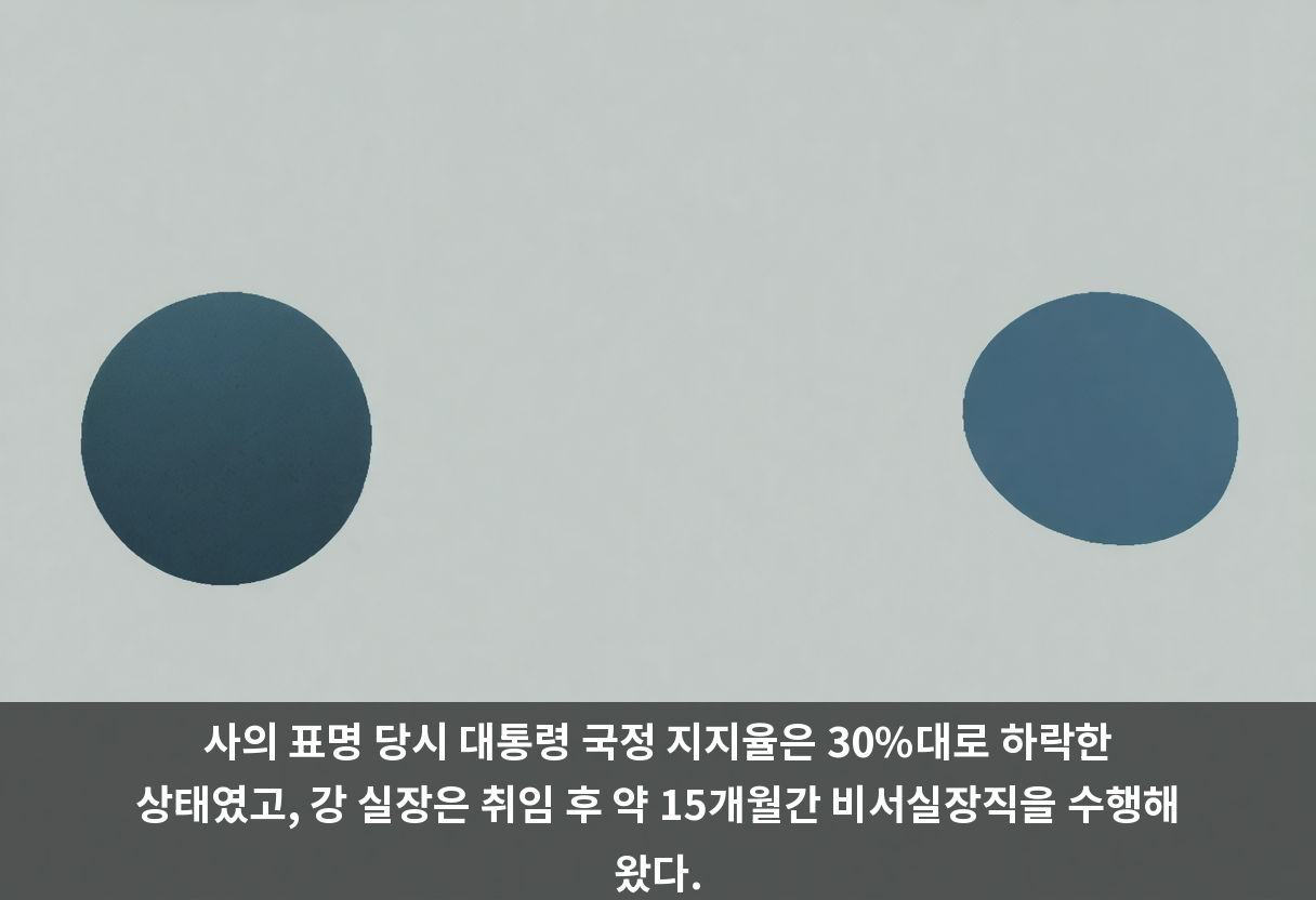사의 표명 당시 대통령 국정 지지율은 30%대로 하락한 상태였고, 강 실장은 취임 후 약 15개월간 비서실장직을 수행해 왔다.