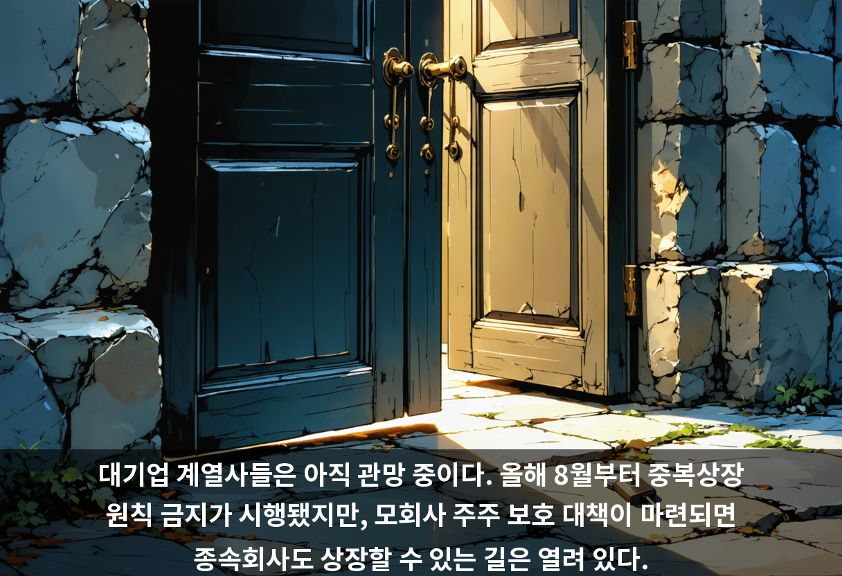 대기업 계열사들은 아직 관망 중이다. 올해 8월부터 중복상장 원칙 금지가 시행됐지만, 모회사 주주 보호 대책이 마련되면 종속회사도 상장할 수 있는 길은 열려 있다.