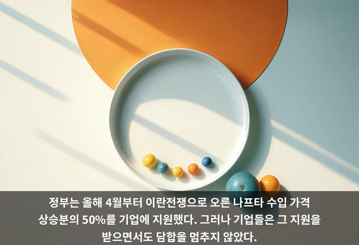 정부는 올해 4월부터 이란전쟁으로 오른 나프타 수입 가격 상승분의 50%를 기업에 지원했다. 그러나 기업들은 그 지원을 받으면서도 담합을 멈추지 않았다.
