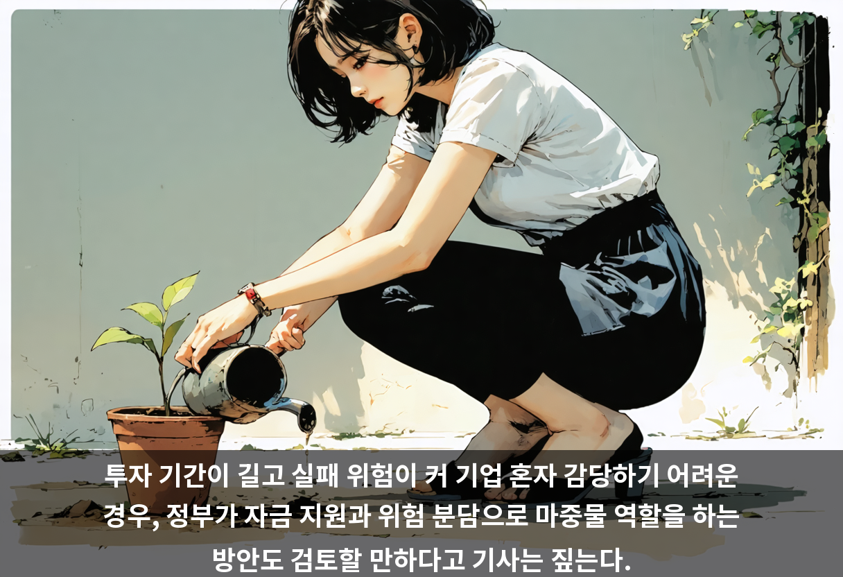 투자 기간이 길고 실패 위험이 커 기업 혼자 감당하기 어려운 경우, 정부가 자금 지원과 위험 분담으로 마중물 역할을 하는 방안도 검토할 만하다고 기사는 짚는다.