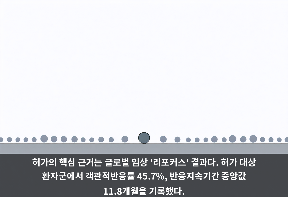 허가의 핵심 근거는 글로벌 임상 '리포커스' 결과다. 허가 대상 환자군에서 객관적반응률 45.7%, 반응지속기간 중앙값 11.8개월을 기록했다.