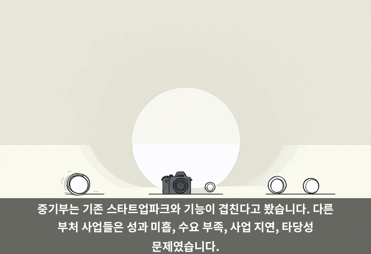 중기부는 기존 스타트업파크와 기능이 겹친다고 봤습니다. 다른 부처 사업들은 성과 미흡, 수요 부족, 사업 지연, 타당성 문제였습니다.