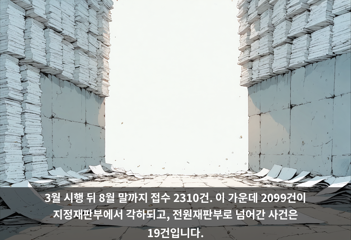 3월 시행 뒤 8월 말까지 접수 2310건. 이 가운데 2099건이 지정재판부에서 각하되고, 전원재판부로 넘어간 사건은 19건입니다.
