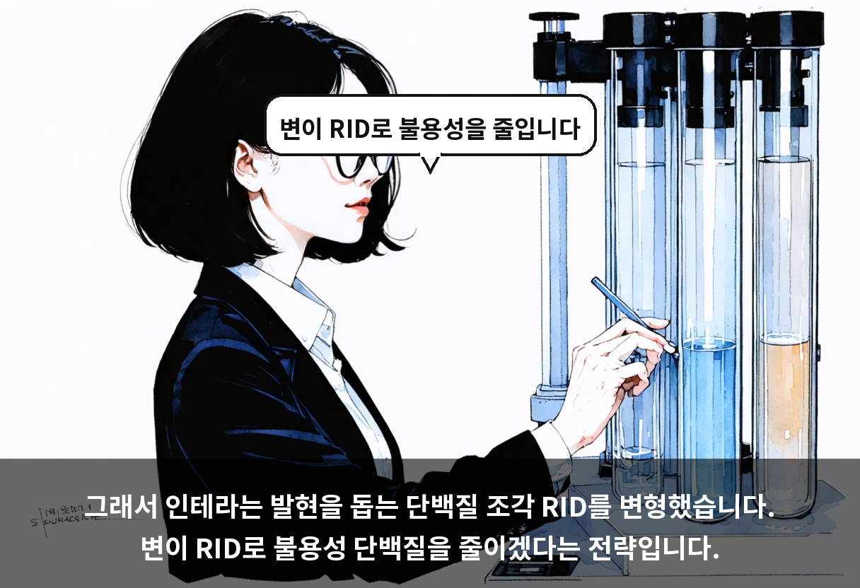 그래서 인테라는 발현을 돕는 단백질 조각 RID를 변형했습니다. 변이 RID로 불용성 단백질을 줄이겠다는 전략입니다.